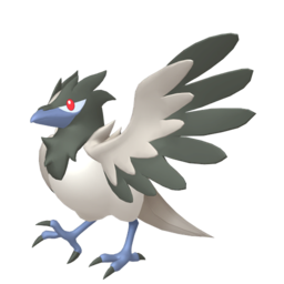 #822 Corvisquire